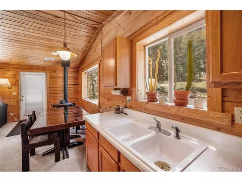 20 Singer Dr, Bailey, CO 80421 photo 16