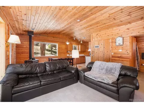 20 Singer Dr, Bailey, CO 80421 photo 10
