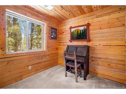20 Singer Dr, Bailey, CO 80421 photo 26