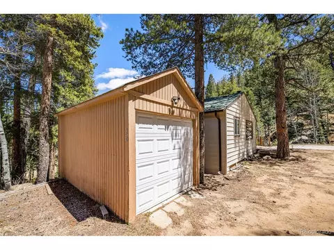 20 Singer Dr, Bailey, CO 80421 photo 33