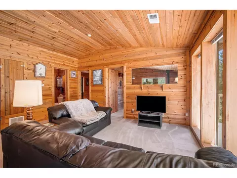 20 Singer Dr, Bailey, CO 80421 photo 9