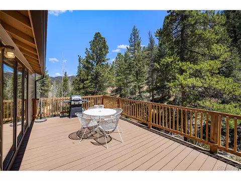 20 Singer Dr, Bailey, CO 80421 photo 4