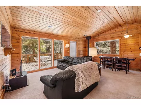 20 Singer Dr, Bailey, CO 80421 photo 7
