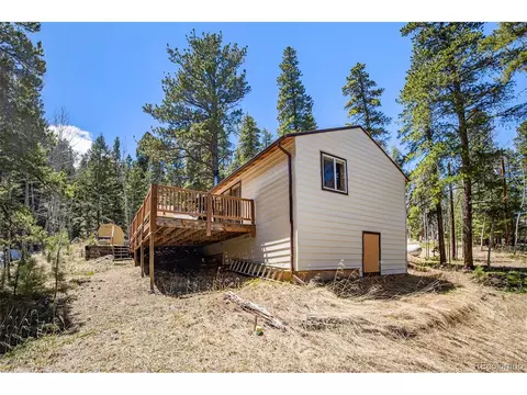 20 Singer Dr, Bailey, CO 80421 photo 30