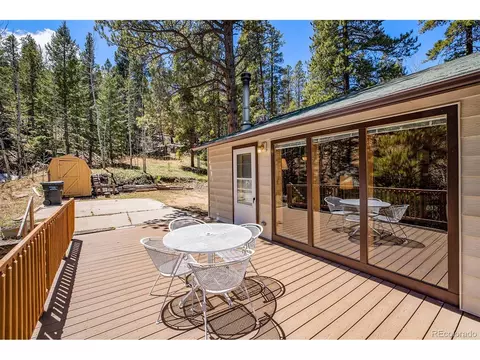 20 Singer Dr, Bailey, CO 80421 photo 5
