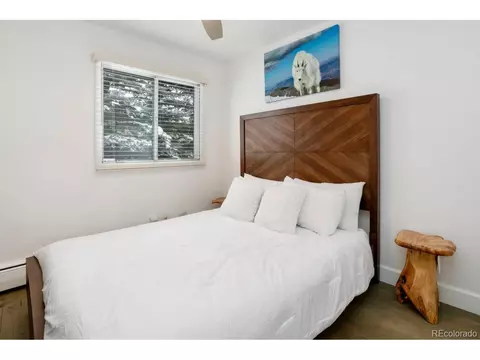 Undisclosed, Vail, CO 81657 photo 10