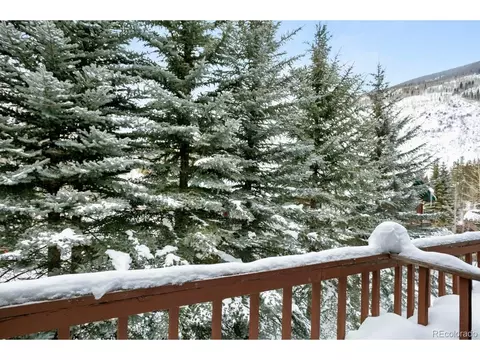 Undisclosed, Vail, CO 81657 photo 19