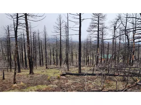 1735 Mara Loop, Fort Garland, CO 81133