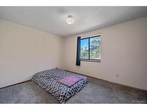 100 Pinecrest Cir, Bailey, CO 80421 photo 18