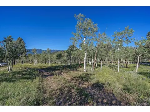 100 Pinecrest Cir, Bailey, CO 80421 photo 26