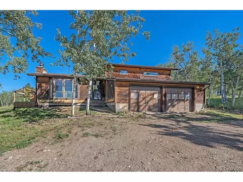 100 Pinecrest Cir, Bailey, CO 80421 photo 4