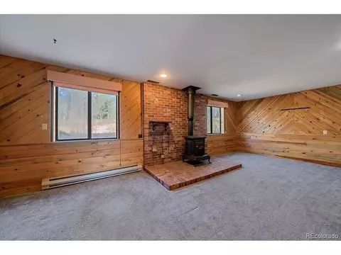 100 Pinecrest Cir, Bailey, CO 80421 photo 20