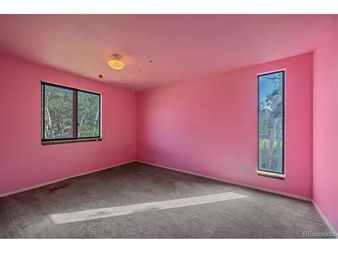 100 Pinecrest Cir, Bailey, CO 80421 photo 17