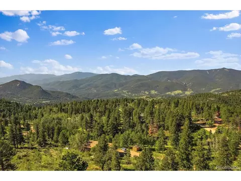 100 Pinecrest Cir, Bailey, CO 80421 photo 30