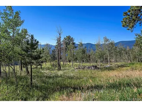 100 Pinecrest Cir, Bailey, CO 80421 photo 27