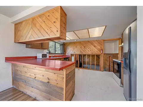 100 Pinecrest Cir, Bailey, CO 80421 photo 11