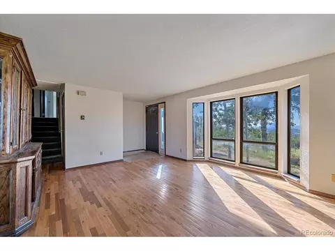 100 Pinecrest Cir, Bailey, CO 80421 photo 7