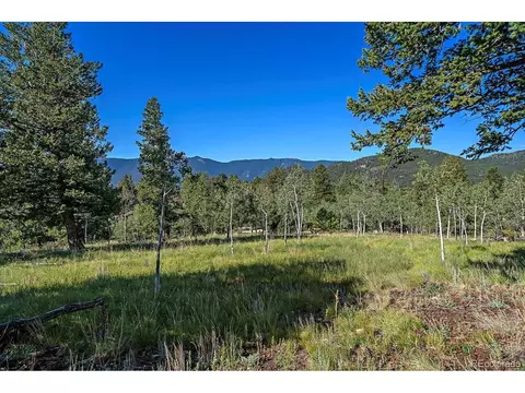 100 Pinecrest Cir, Bailey, CO 80421 photo 28