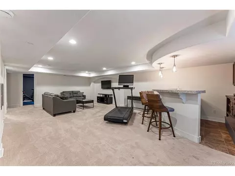 9132 E 24th Pl, Denver, CO 80238 photo 23