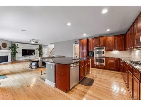 9132 E 24th Pl, Denver, CO 80238 photo 8