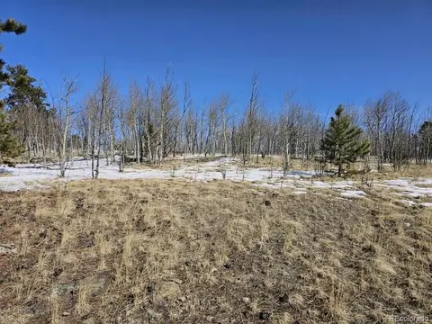 75 Rawhide Ct, Jefferson, CO 80456 photo 5