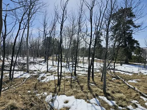 75 Rawhide Ct, Jefferson, CO 80456 photo 4