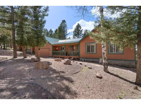 4055 Omer Ln, Divide, CO 80814