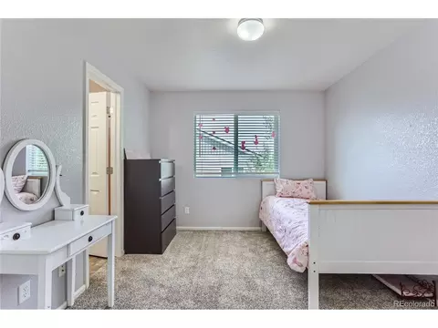 18646 E 47th Ave, Denver, CO 80249 photo 20