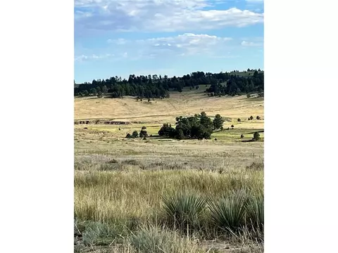 Undisclosed, Agate, CO 80101 photo 15