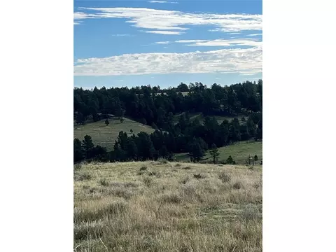 Undisclosed, Agate, CO 80101 photo 14