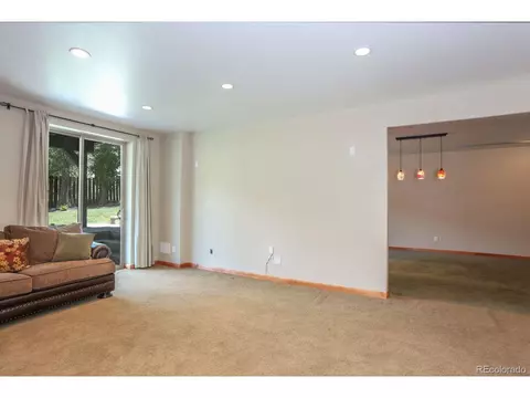 11 Alpine Rd, Dillon, CO 80435 photo 25