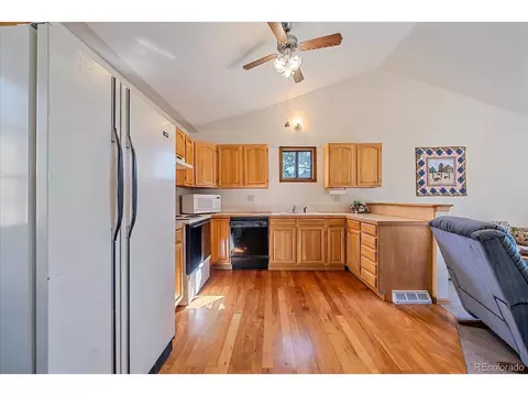 712 Cline Dr, Shawnee, CO 80475 photo 15