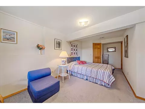 712 Cline Dr, Shawnee, CO 80475 photo 32