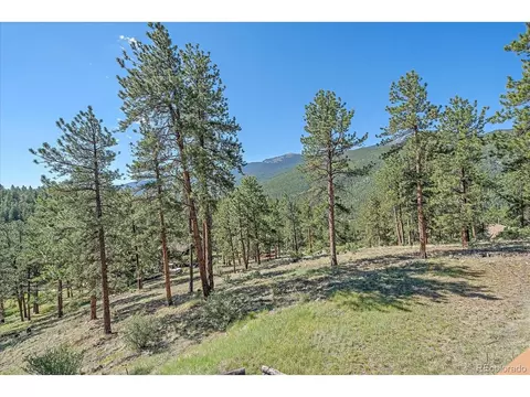 712 Cline Dr, Shawnee, CO 80475 photo 27