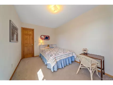 712 Cline Dr, Shawnee, CO 80475 photo 21
