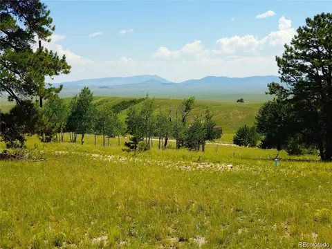 327 Brahma Cir, Hartsel, CO 80449