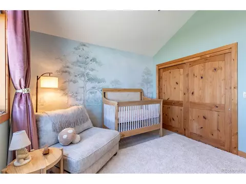 1563 Pitchfork Rd, Hartsel, CO 80449 photo 24