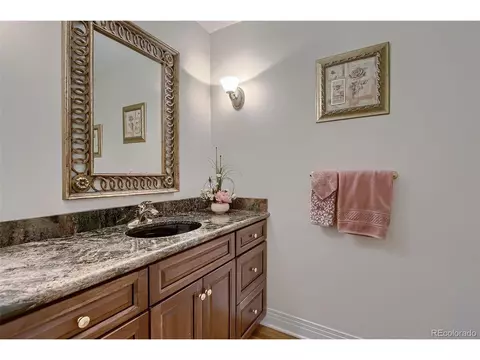 8561 Colonial Dr, Lone Tree, CO 80124 photo 43