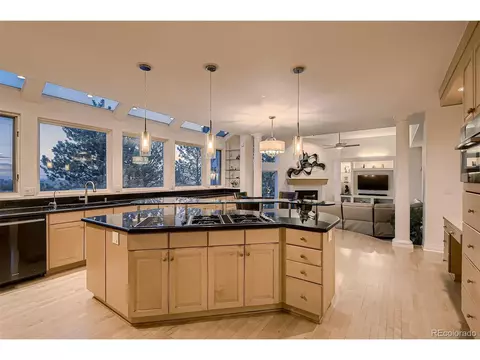 8561 Colonial Dr, Lone Tree, CO 80124 photo 11