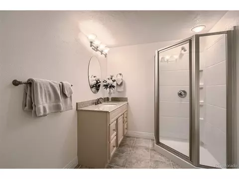 8561 Colonial Dr, Lone Tree, CO 80124 photo 39
