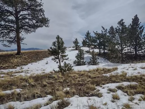 486 Mesa Rd, Hartsel, CO 80449 photo 8