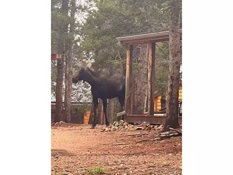 380 Hacker Dr, Black Hawk, CO 80422 photo 34