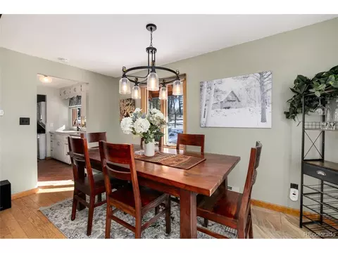 30950 Walter Dr, Conifer, CO 80433 photo 18