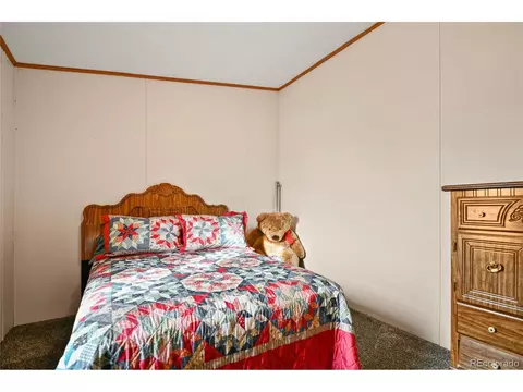 16580 Cathys Loop, Peyton, CO 80831 photo 18