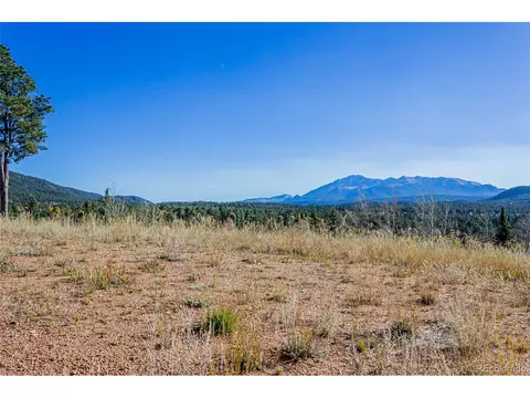 300 Apache Trl, Woodland Park, CO 80863