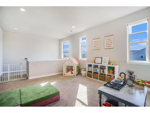 6207 E 143rd Ave, Thornton, CO 80602 photo 23