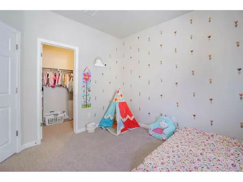 6207 E 143rd Ave, Thornton, CO 80602 photo 20
