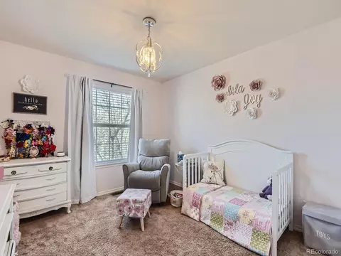 10283 Rowlock Way, Parker, CO 80134 photo 17
