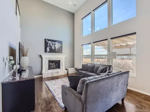 10283 Rowlock Way, Parker, CO 80134 photo 11