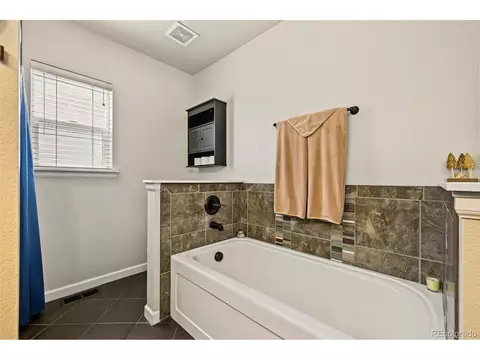 Bath - 313 Audubon Blvd, Severance, CO 80550 photo 2 of 4